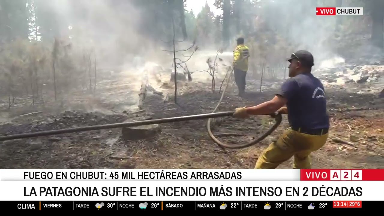 🔥 Así combaten el fuego en Chubut: 45 hectáreas arrasadas