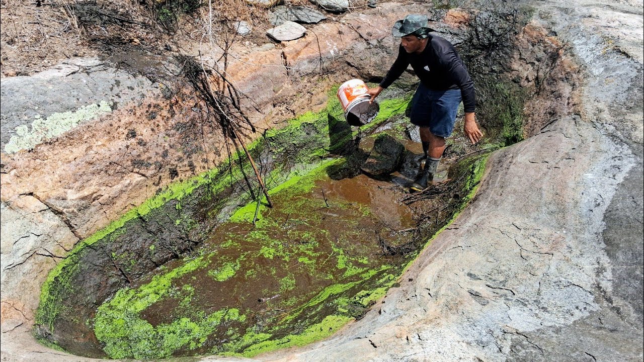 LIMPAMOS OUTRO TANQUE NO MEIO DA MATA NA CAATINGA