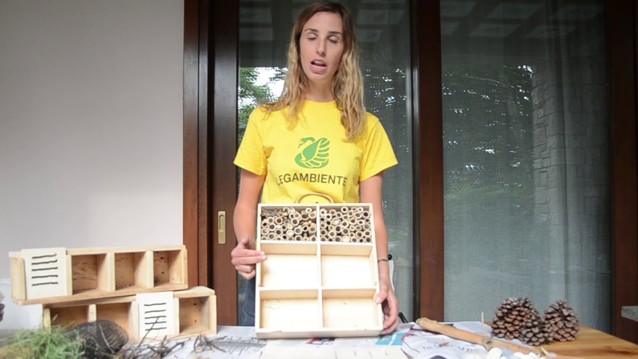 Bugs Hotel - il tutorial per Sistema Olona