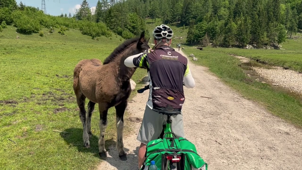 Austria Salzkammergut Bike Tour Day6::  Attersee To Mondsee 4k Osmo Pocket