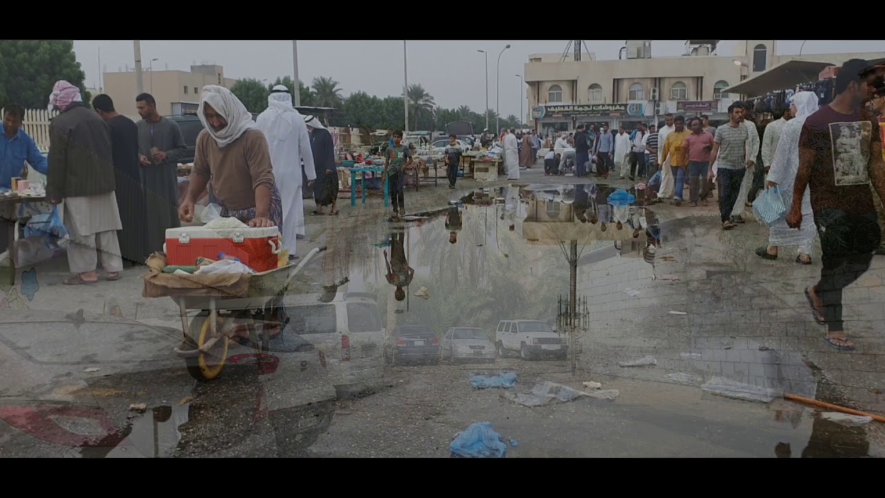 القطيف تاريخ وحضارة