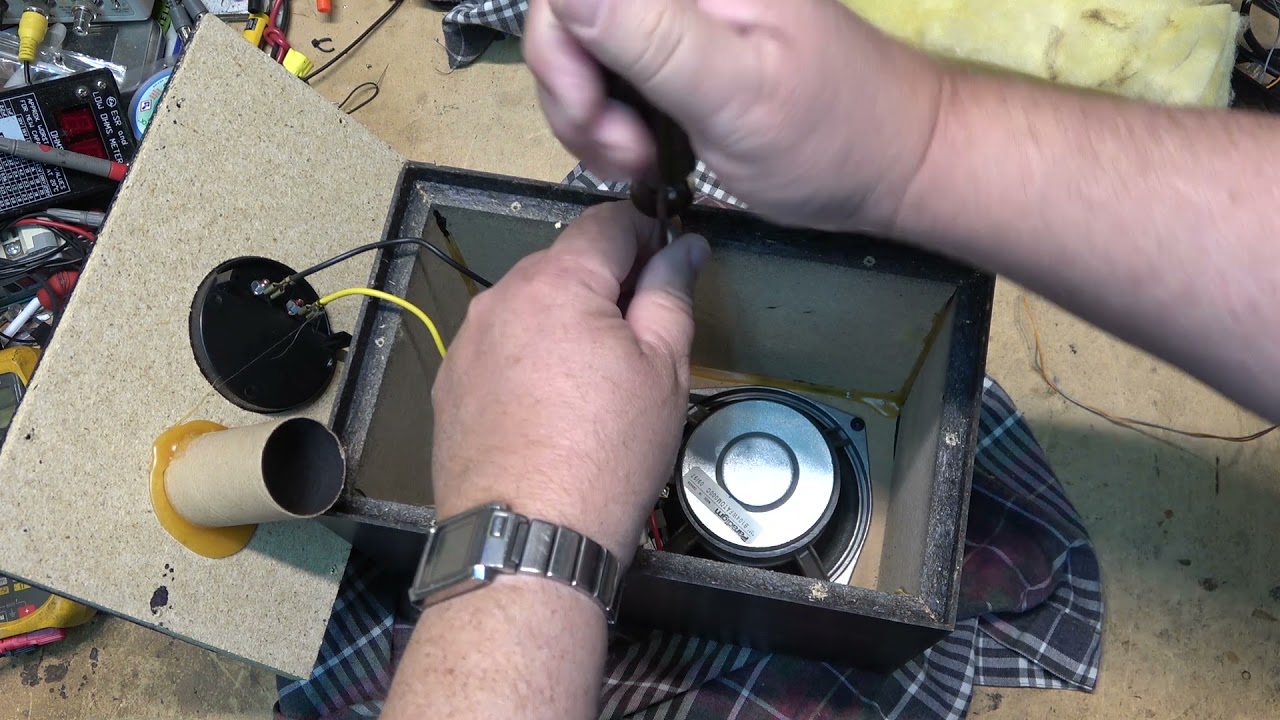 Paradigm Atom Speaker bad sound can it be saved?