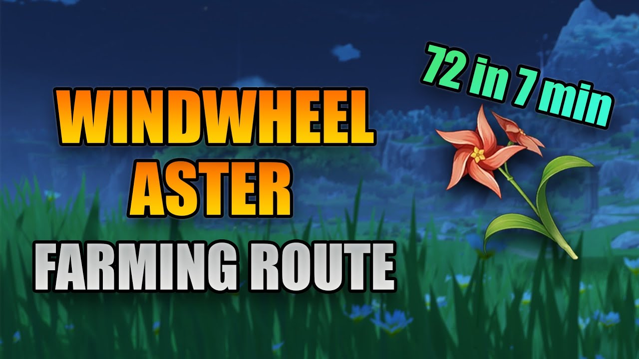 Windwheel Aster Locations & Farming Route Guide | Genshin Impact