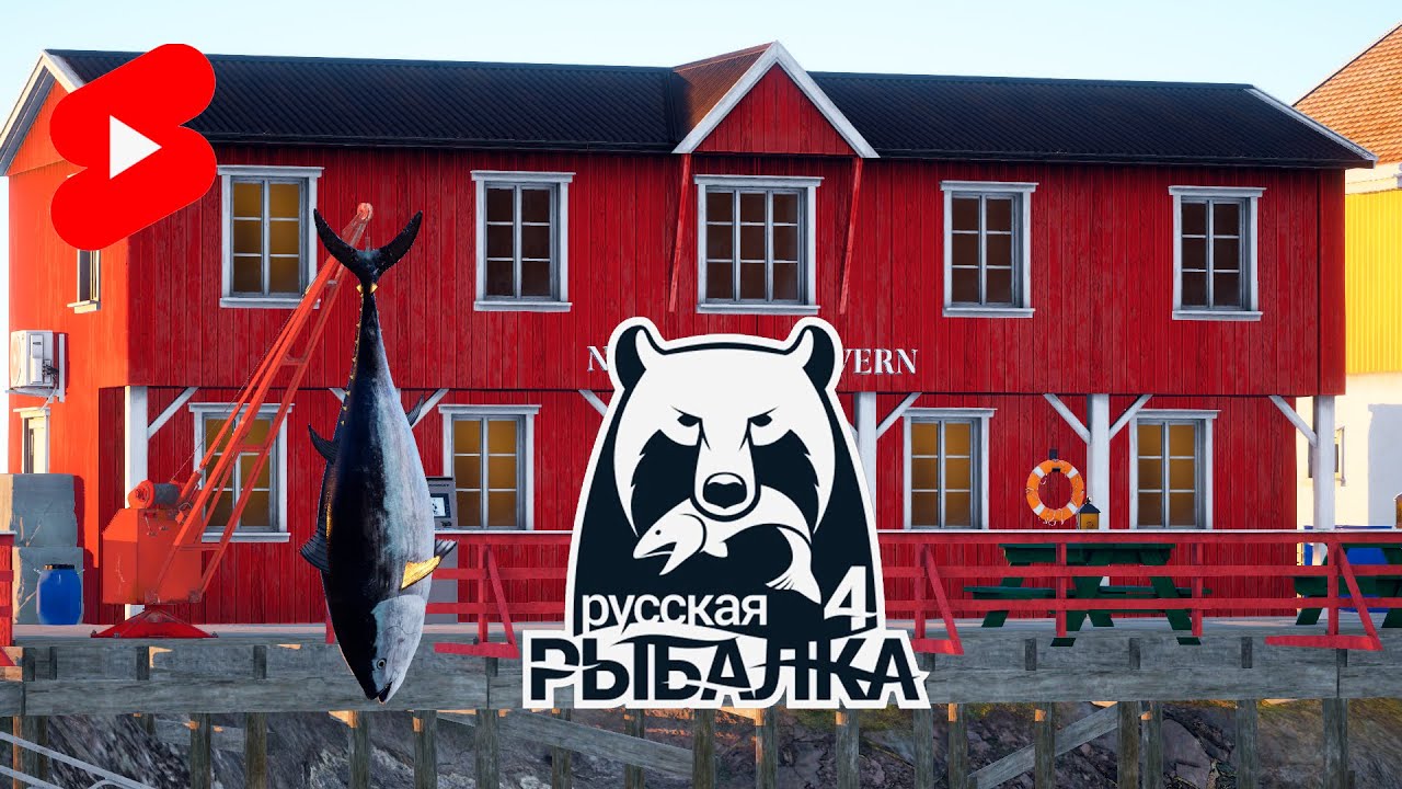 Русская рыбалка 4 / Помощь начинающим / Общение / 46 лвл #stream