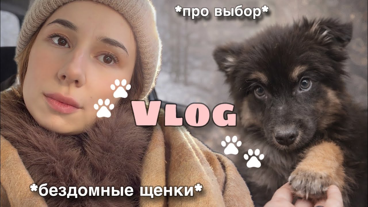 Поездка за щенком | Тихий влог