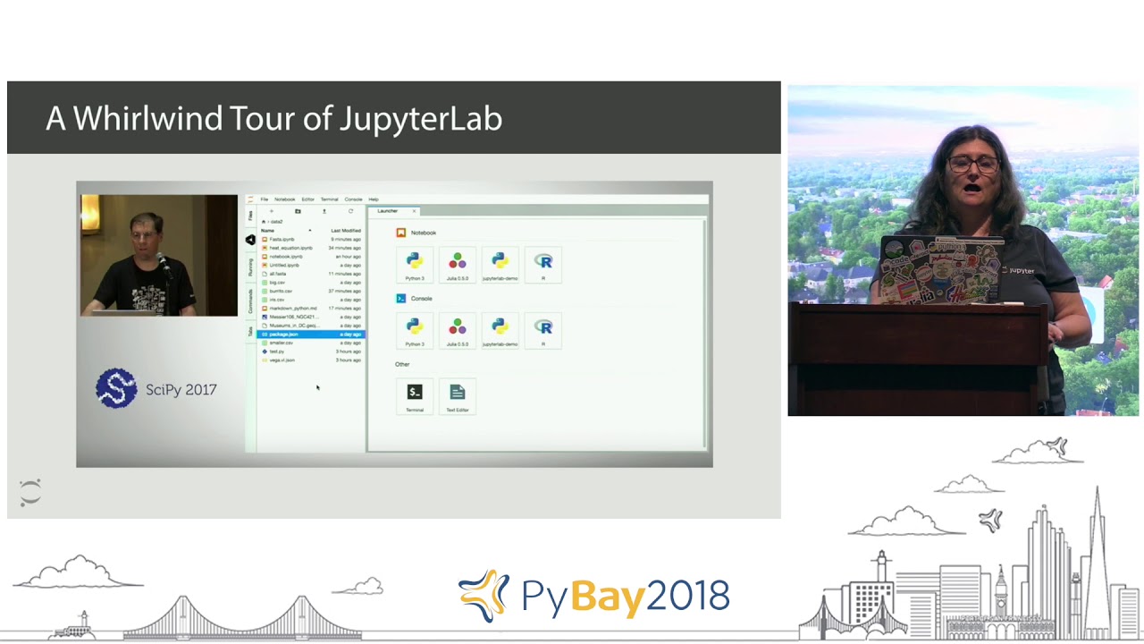 JupyterLab and JupyterHub - Perfect Together | Carol Willing @ PyBay2018