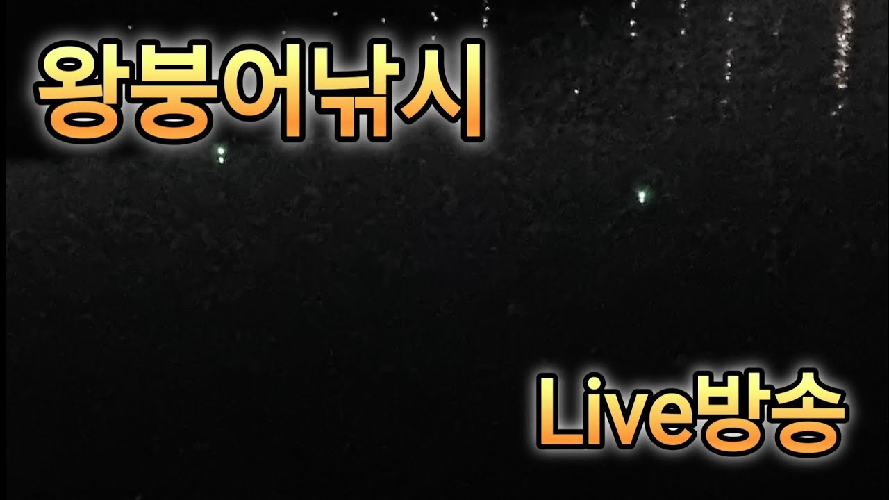 26 봄 왕붕어낚시 김포대도시