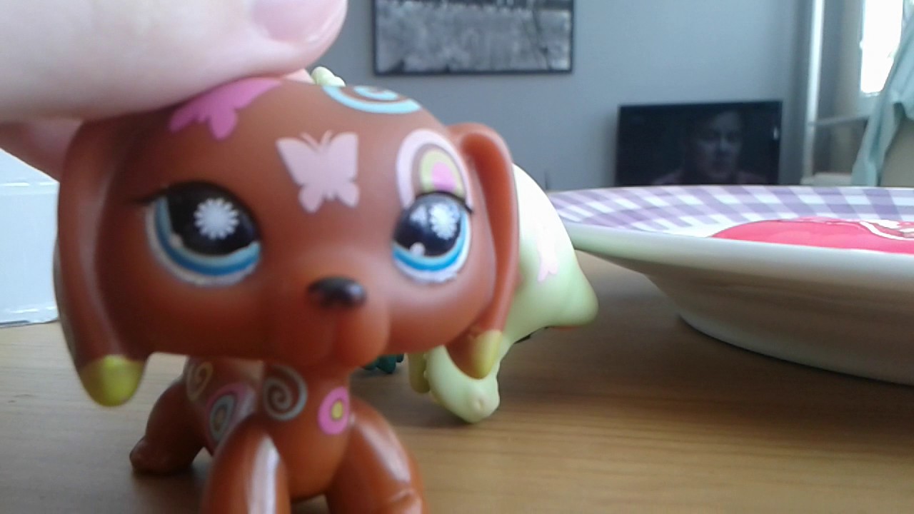 Lps sliz a fidget spinner