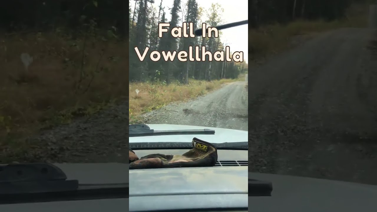 Fall In Vowellhala, our Off Grid Alaska Dream Project
