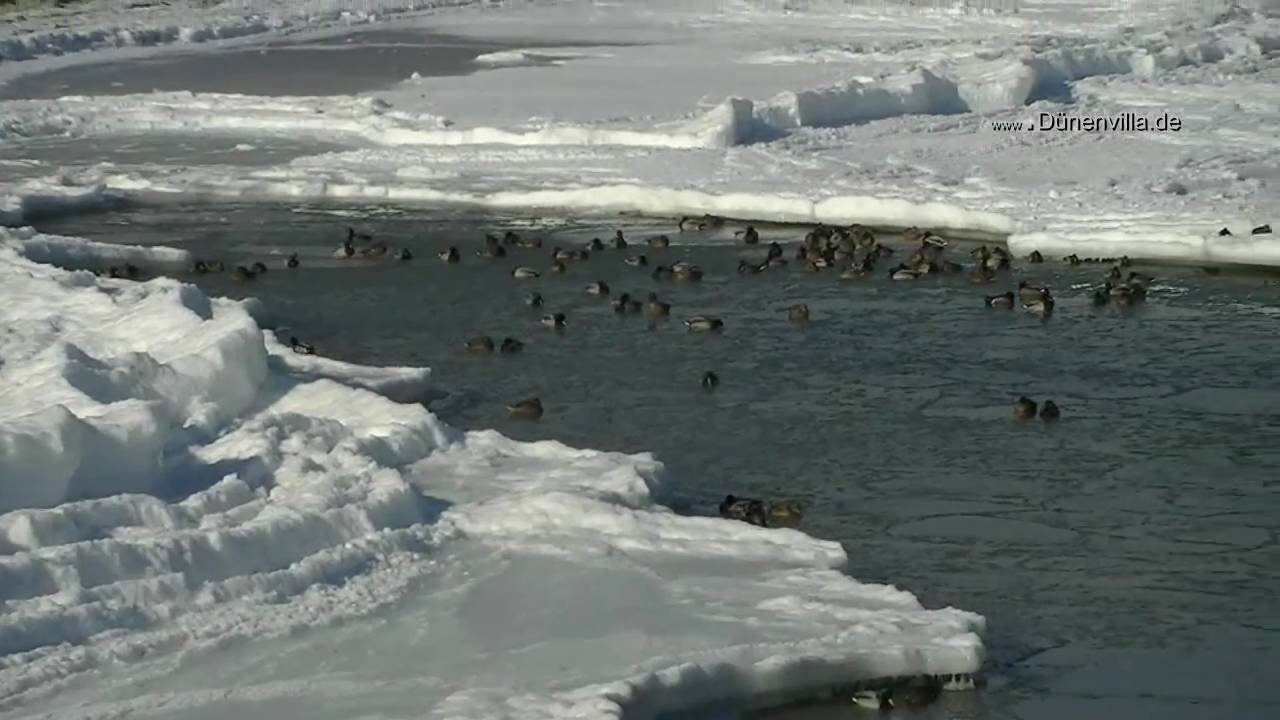 Binz traumhafte Eislandschaft