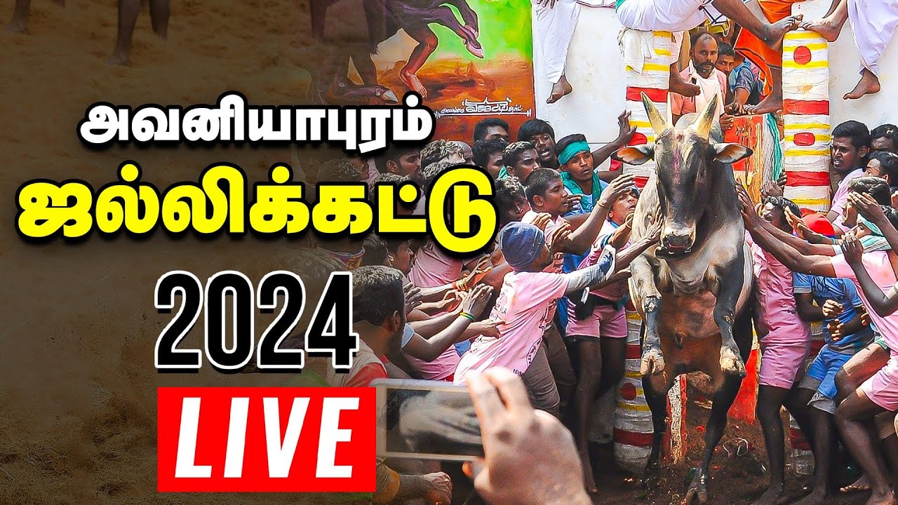 🔴நேரலை: அவனியாபுரம் ஜல்லிக்கட்டு | Jallikattu Live 2024 | Avaniyapuram