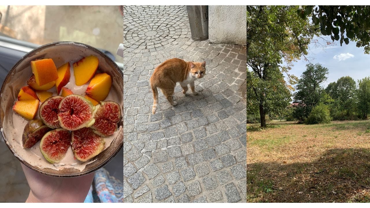 Животът в малкия град