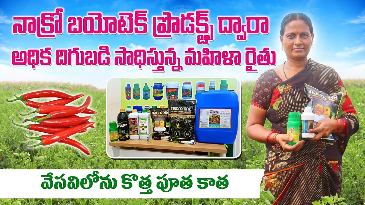 నాక్రో బయోటెక్ ప్రొడక్ట్స్ ద్వారా అధిక దిగుబడి | Best Results with Nacro Biotech | AgriTech Telugu