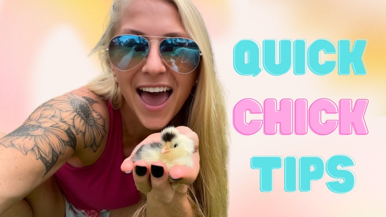 Chick Care 101- 3 Quick Tips