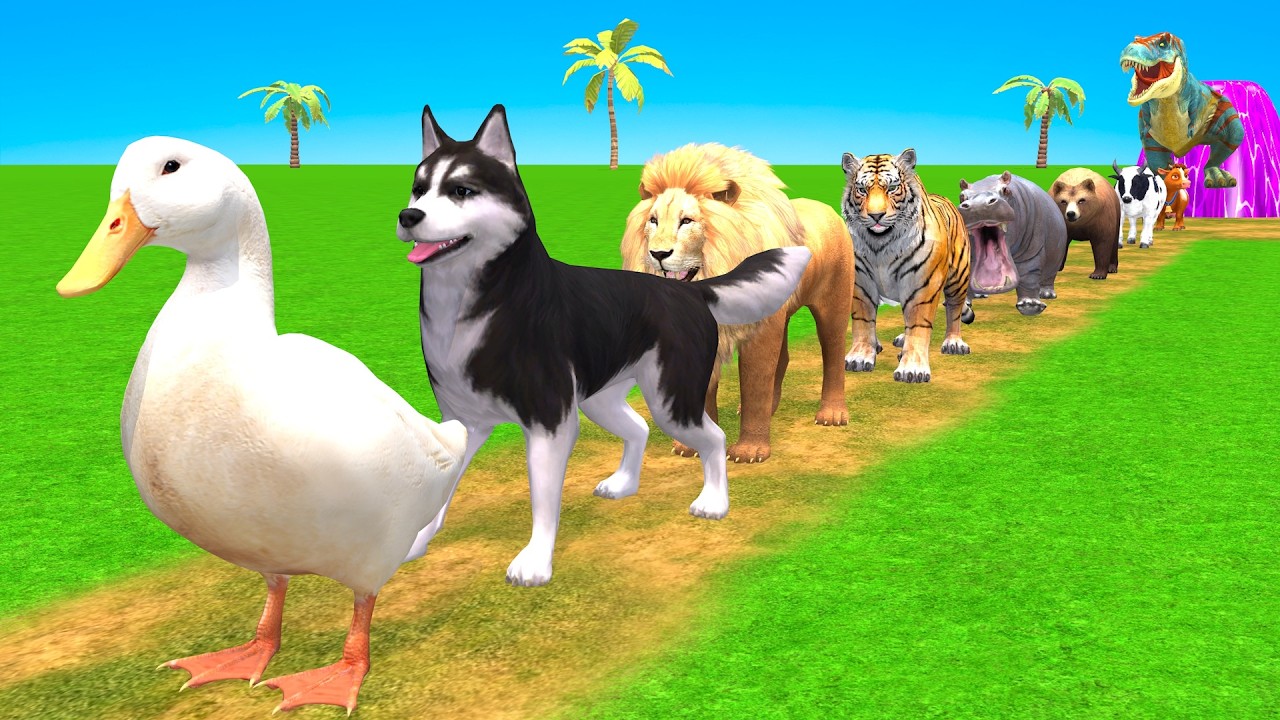 Long Slide Game with Gorilla and T-Rex Giant Color Swap | Funny 3D Animals Cartoon Adventure