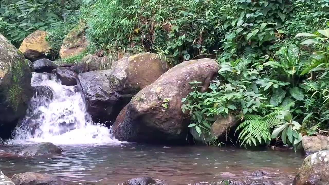 Soft River Ambience for Peaceful Nights