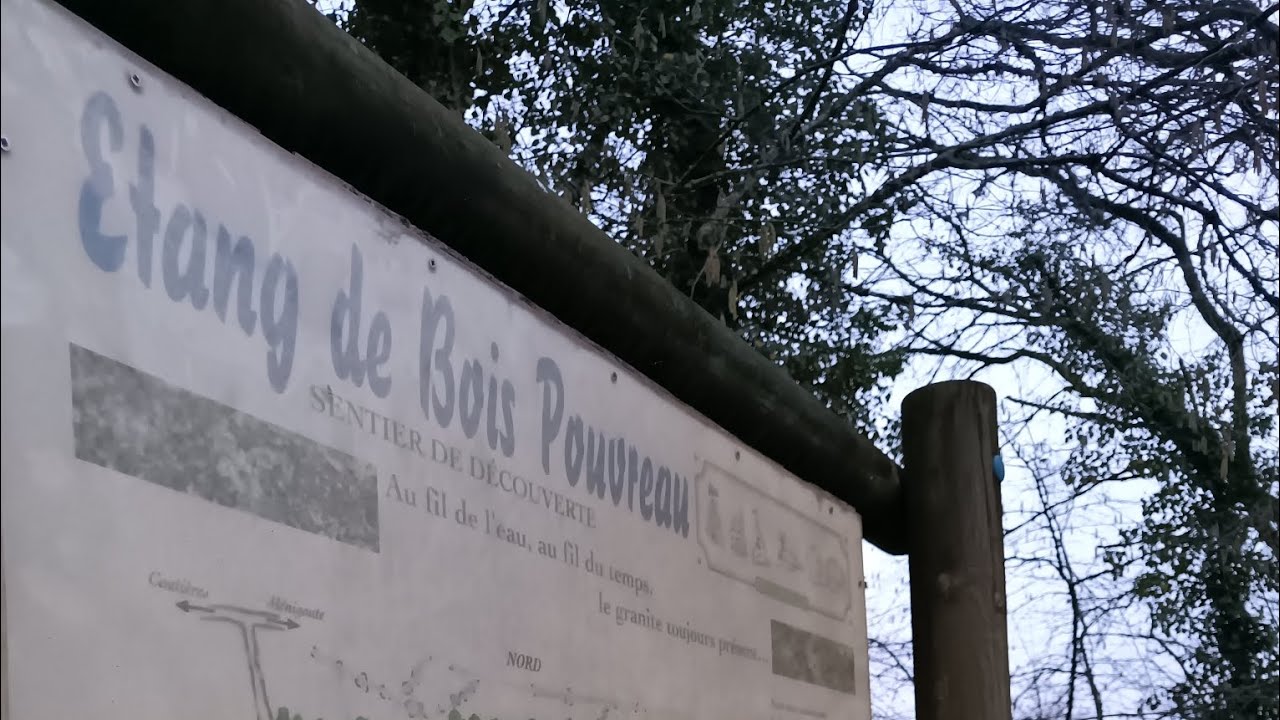 Étang de Bois Pouvreau  Images aériennes capturées par drone