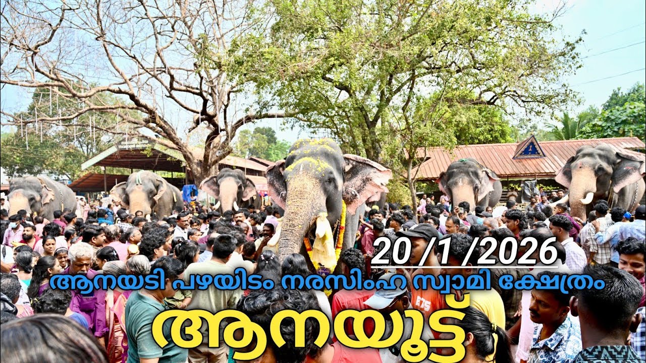  ആനയൂട്ട് ആനയടി പഴയിടം നരസിംഹ സ്വാമി ക്ഷേത്രം | Anayadi Aanayoottu 2026|