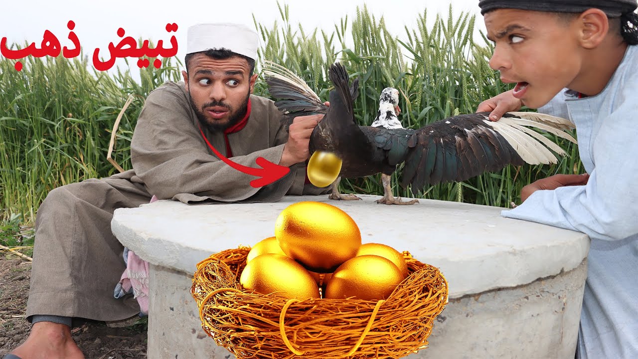اغرب بطة فى العالم تبيض ذهب الحاج بسيونى شو