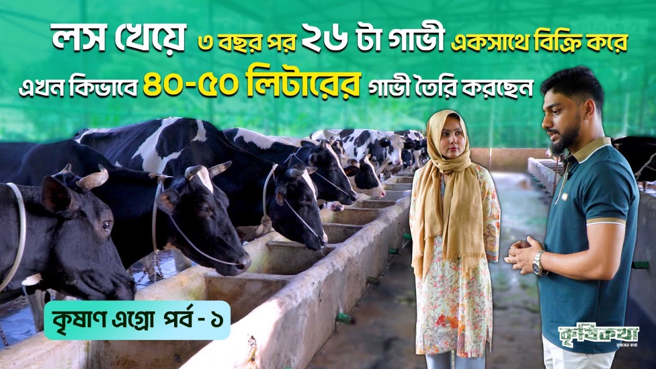 লস খেয়ে ৩ বছর পর ২৬ টা গাভী বিক্রি করে দিলো। ডেইরি ফার্ম
