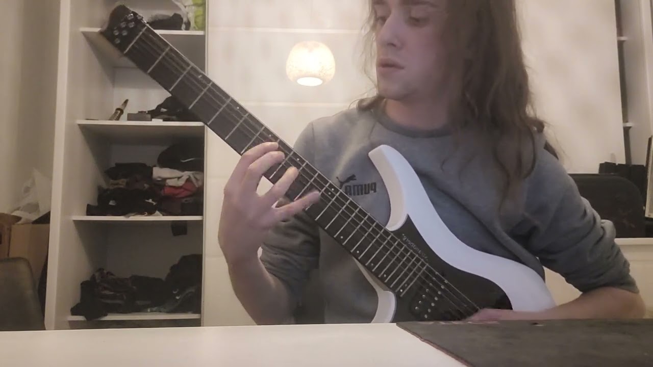 Necrophagist - Stabwound Cover (raw audio)