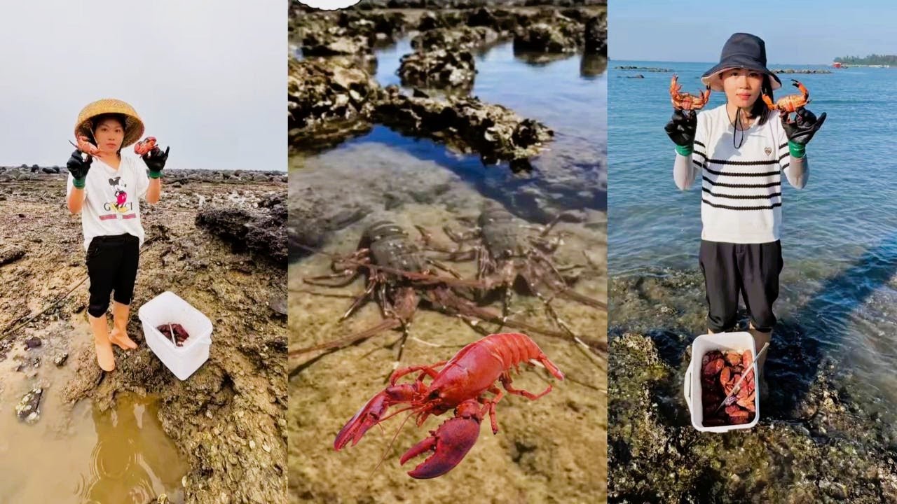 Ловите крабов и лобстеров у побережья #краб #рыбалка #ловля #охота