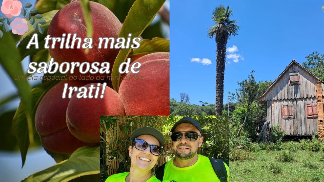 Encontramos nessa Trilha em Irati - PR e ficamos impressionados @prefeituradeirati8255