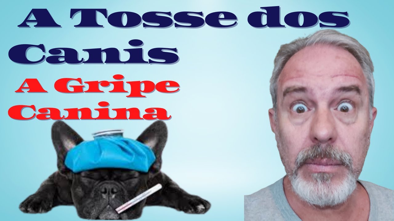 TOSSE DOS CANIS - A GRIPE DOS C&Atilde;ES. Causas, diagn&oacute;stico, tratamento e preven&ccedil;&atilde;o.