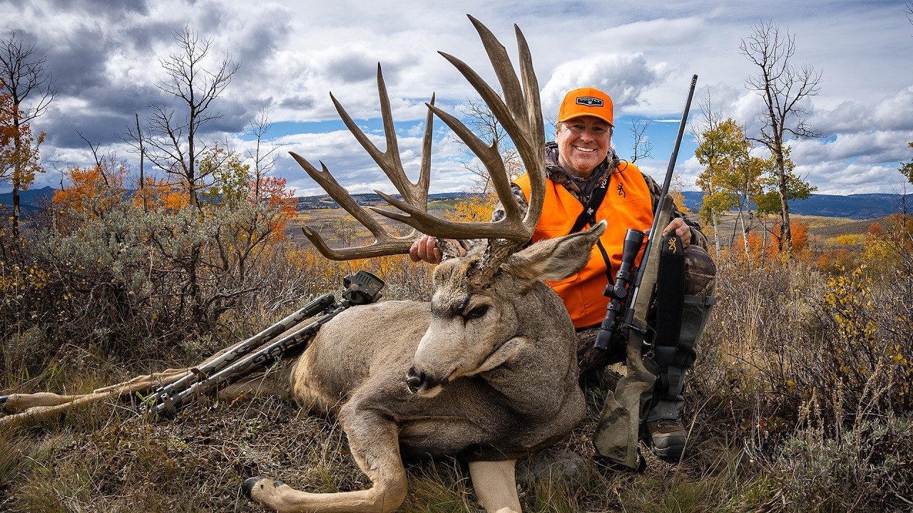 Two Huge Mule Deer Bucks -- Over 400