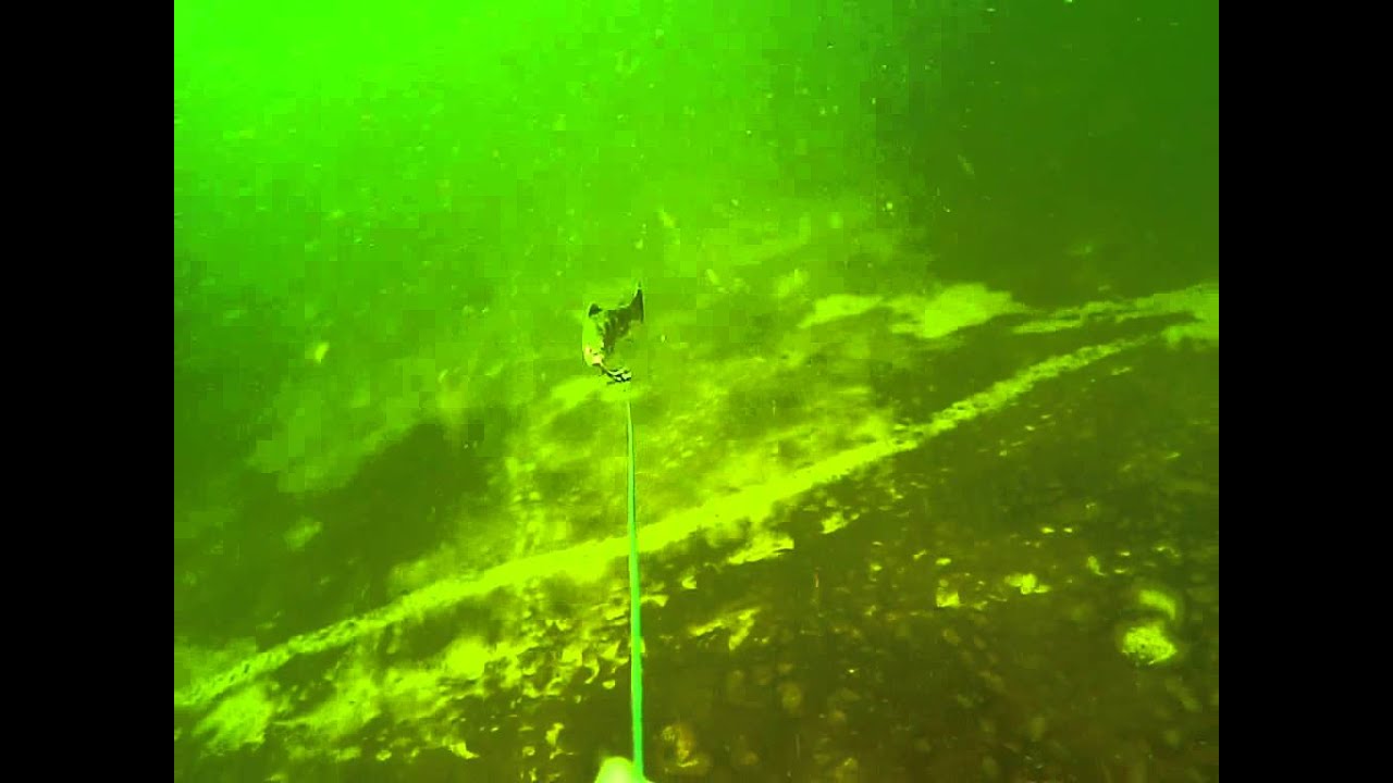 Pike Trolling with Savage Gear Line Thru Trout