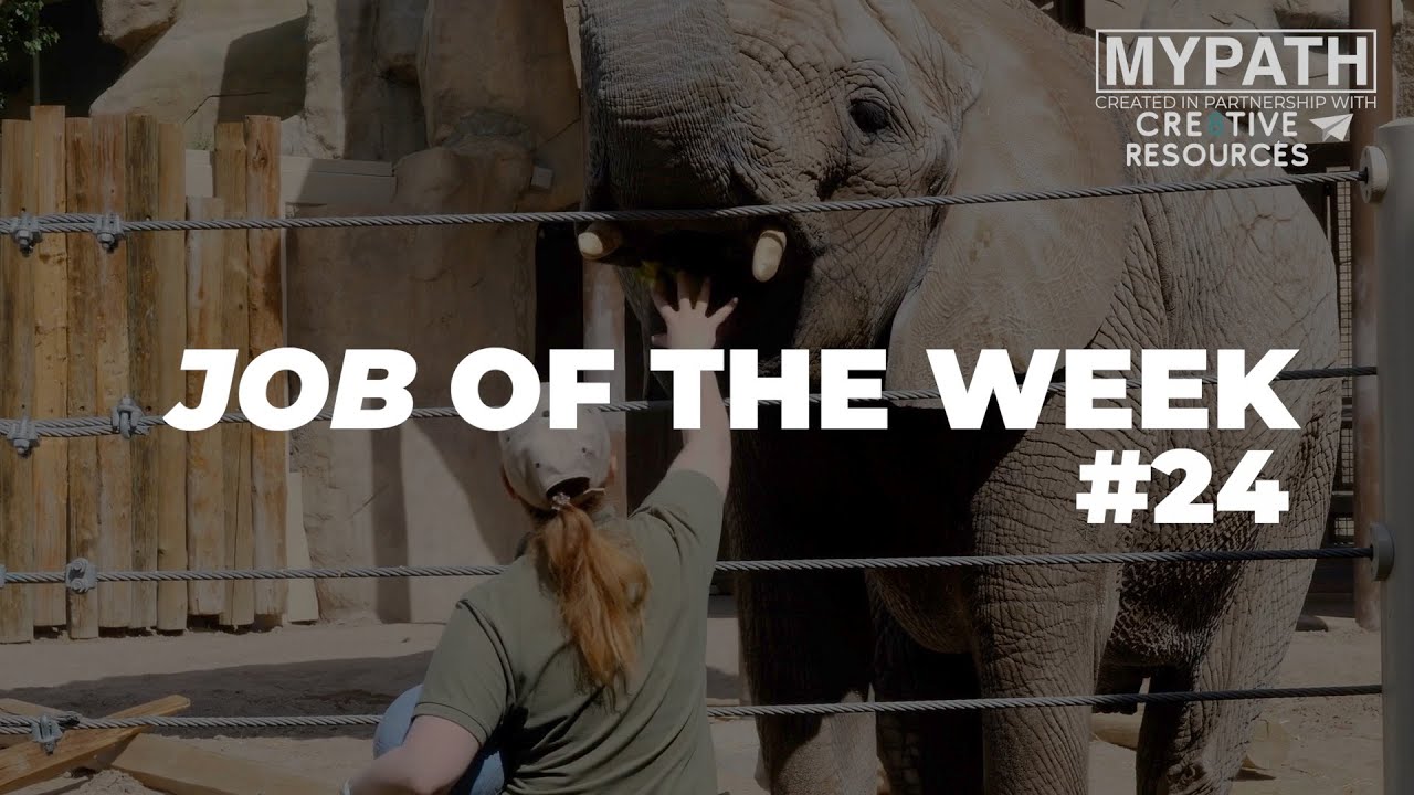 JOB OF THE WEEK - EPISODE #24 - ZOOKEEPER