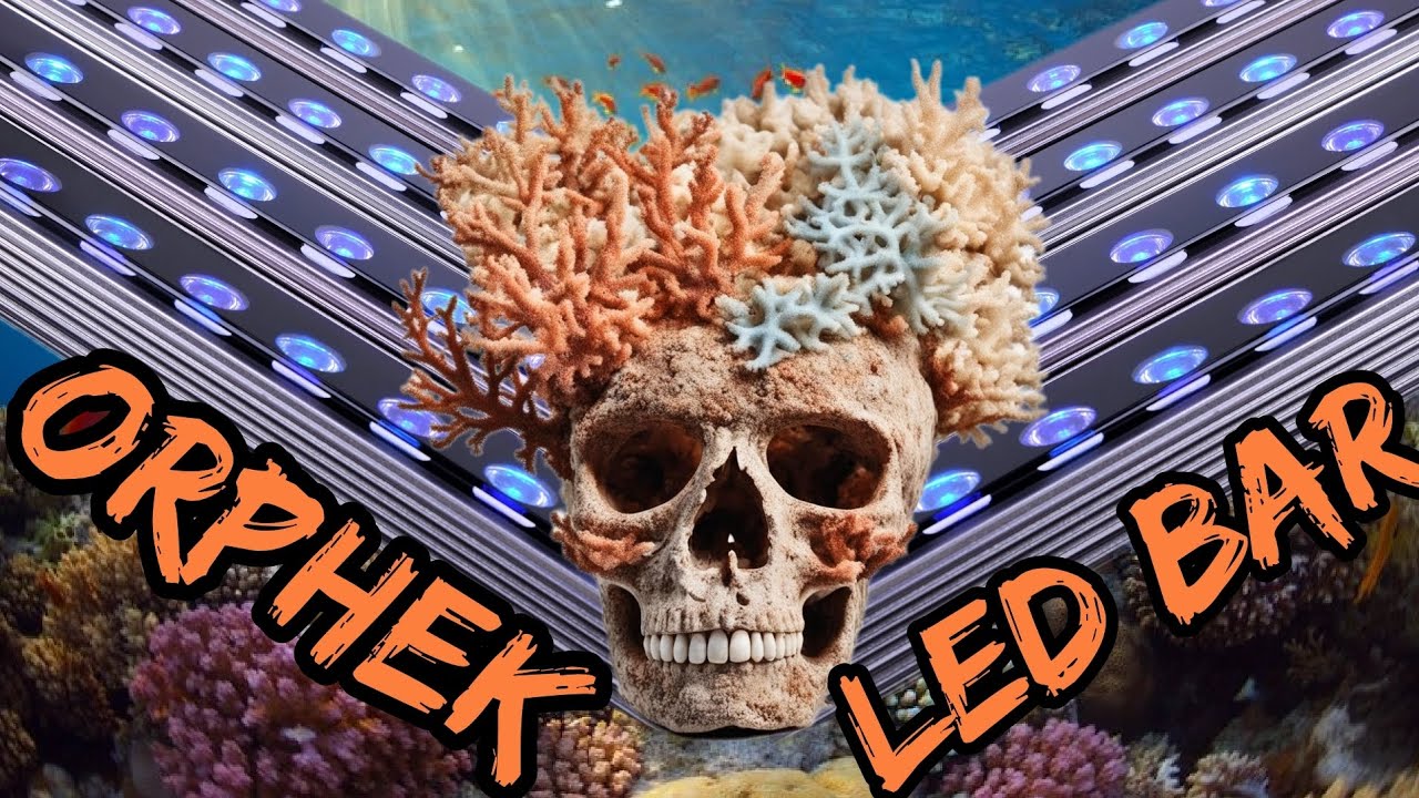 orphek led bar обзор