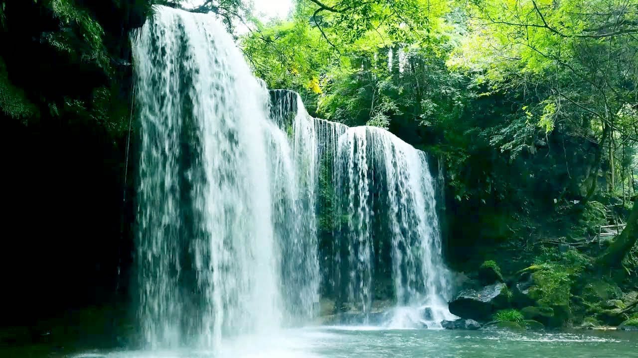 Calm Woodland Stream with Beautiful Birdsong, Relax and Unwind, ASMR