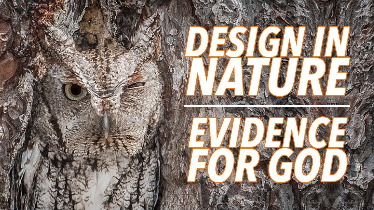 Design in Nature as Evidence for God