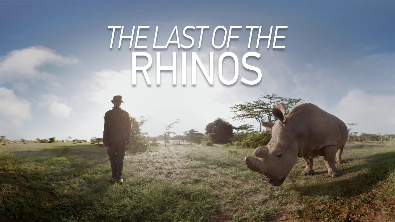GoPro VR: The Last of the Rhinos