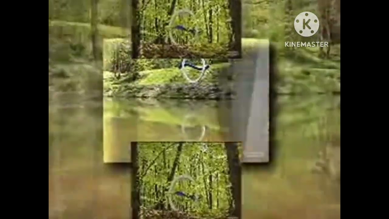 [REUPLOADED] YTPMV Duna Hungary Entertaining channel Scan