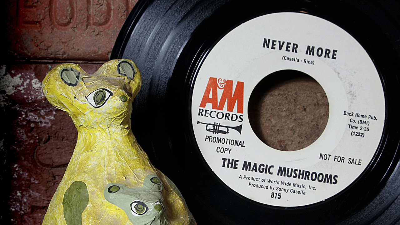 The Magic Mushrooms - Never More  ...1966