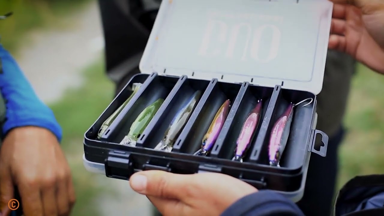 Canne Loxus Delacoste - 4 Nouveaux Modèles pour Pêche aux Leurres 🎣