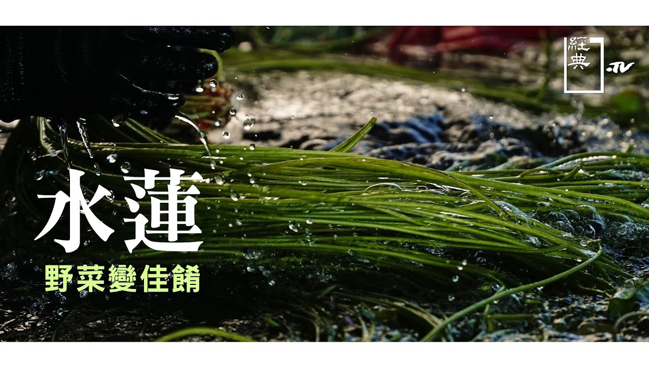 【經典.TV】20210404 - 自然人 - 水蓮 野菜變佳餚