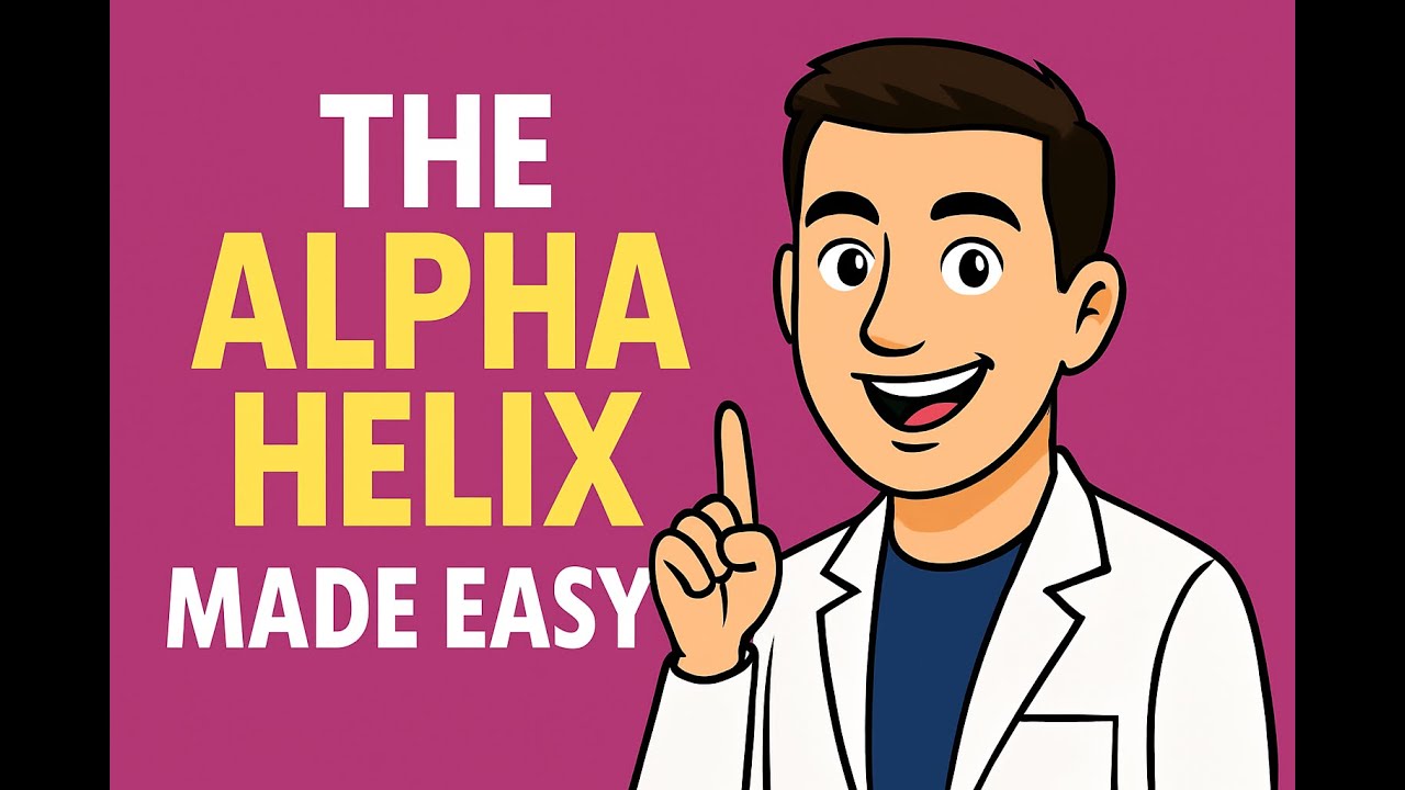 The Alpha Helix - Secondary Structure of Protein