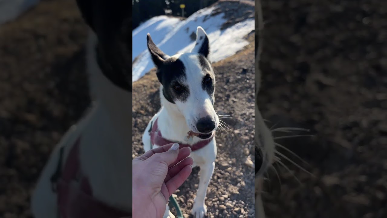 &Uuml;ber das Sagfleckl zur Baumgartenschneid (1.448m)