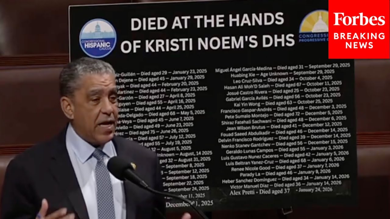 'Our Citizenship Is In Peril': Adriano Espaillat Calls For Dismantlement Of ICE