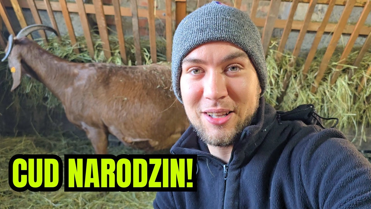 Tego jeszcze u nas nie było... Co się urodziło?!