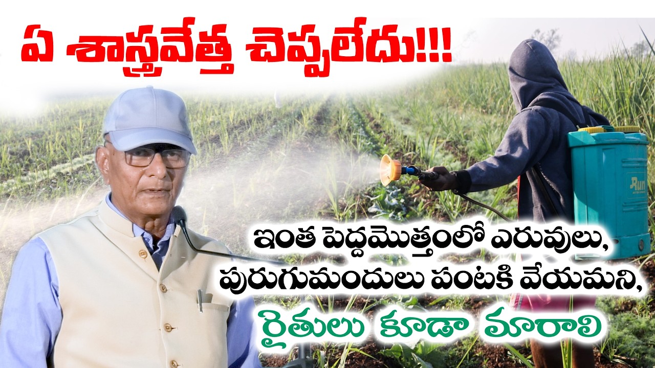 ఏ శాస్త్రవేత్త ఎప్పుడూ చెప్పలేదు ఇంత పెద్దమొత్తంలో ఎరువులు, పురుగుమందులు పంటకి వేయమని, రైతులు మారాలి