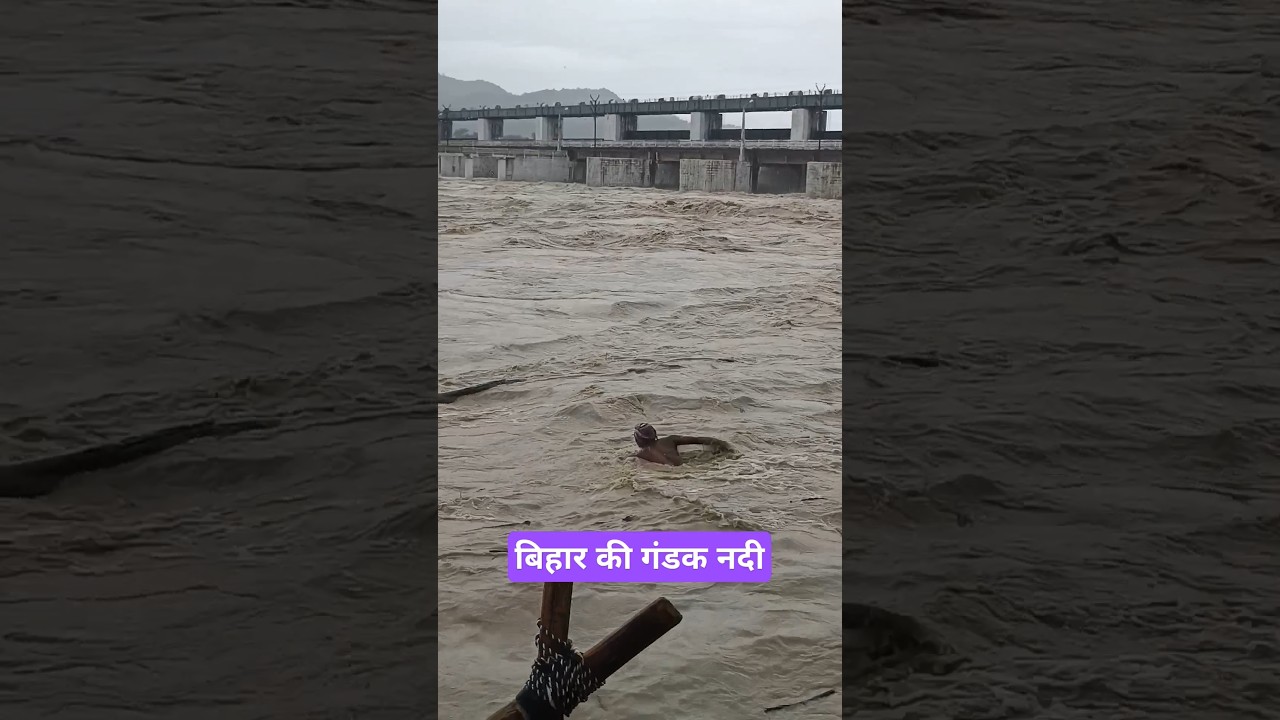 The water level of the Gandak River has risen. Flooding in the Gandak River. Gandak Barrage, Valmikinagar.