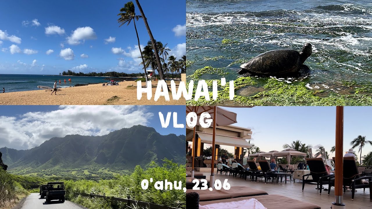 여행 VLOG / 🌴 하와이 오아후, 쿠알로아랜치, 72번국도 동부 드라이브, 하나우마베이 워크인 / 여기에 학회를 곁들인
