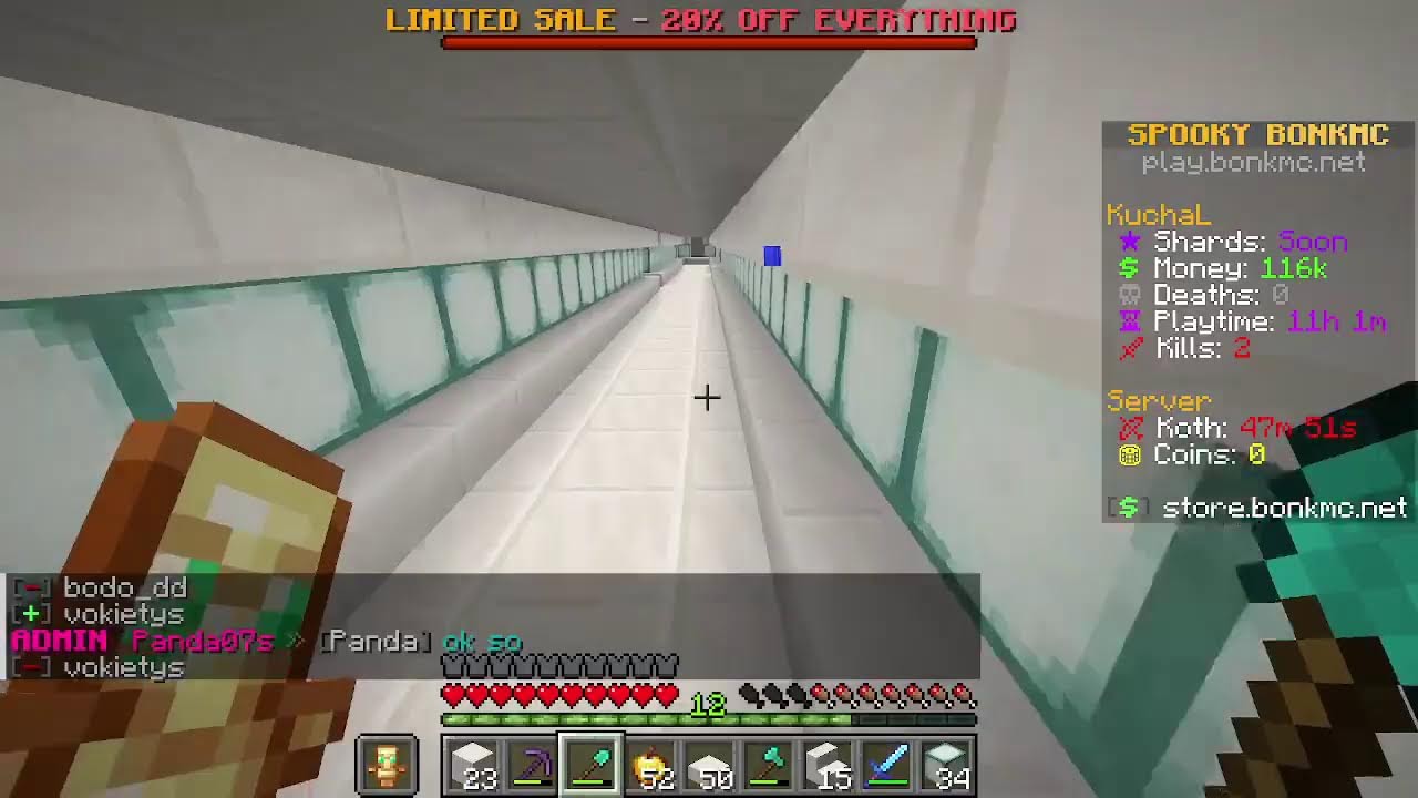 Minecraft na veřejném serveru