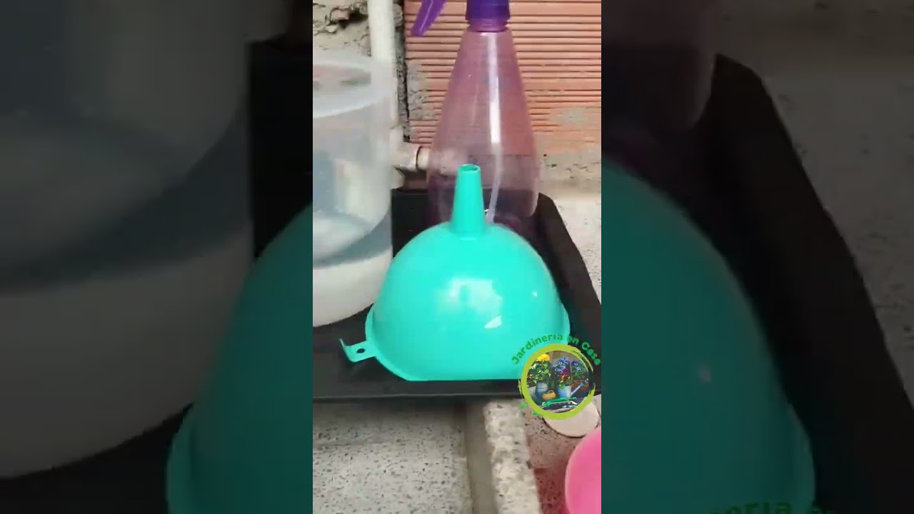 "Fungicida de Ajo Casero: Cómo Prevenir Enfermedades en Plantas Fácilmente"