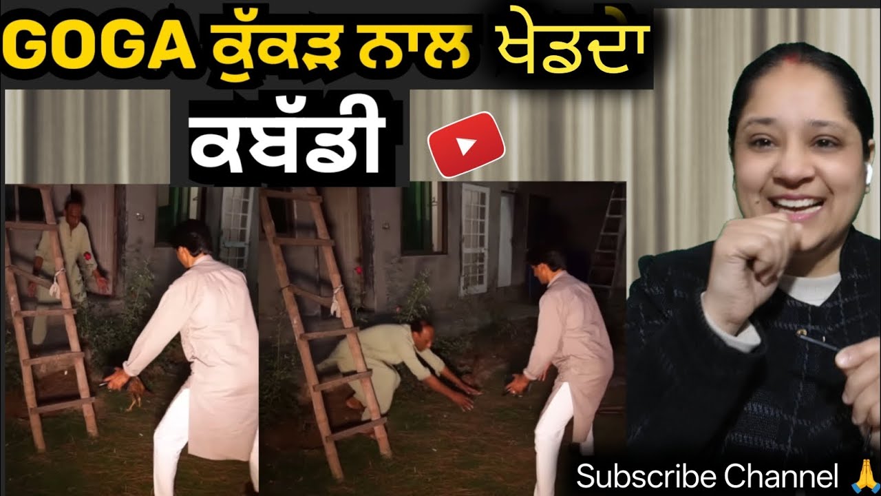 Outstanding Standup Comedy in Garden | Goga Pasroori Gardener and Saleem Albela as a owner 🤣 |
