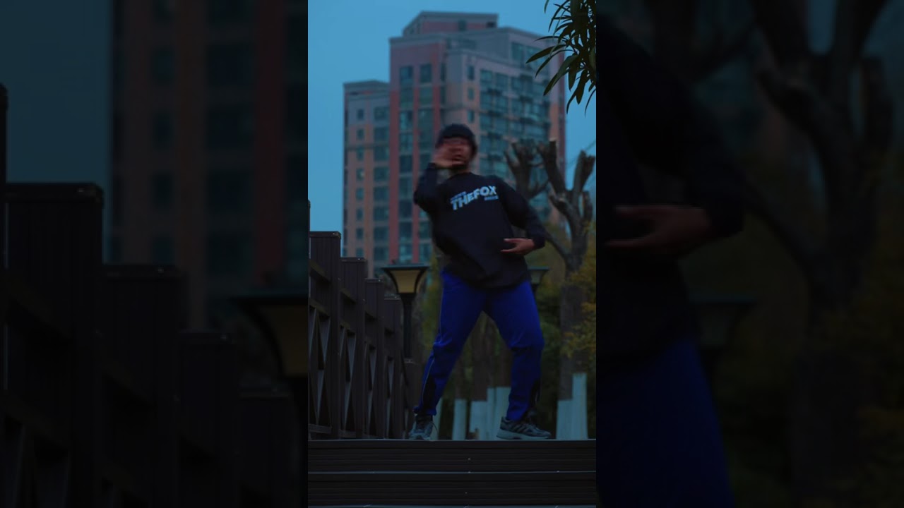 Freestyle cover #papaoutai dance. Expression